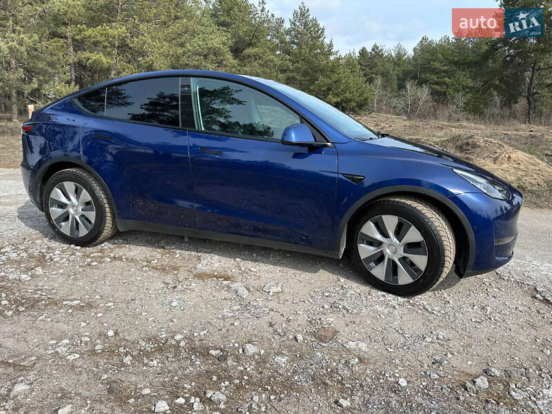Позашляховик / Кросовер Tesla Model Y 2021 в Кам'янському
