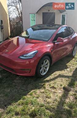 Позашляховик / Кросовер Tesla Model Y 2022 в Києві