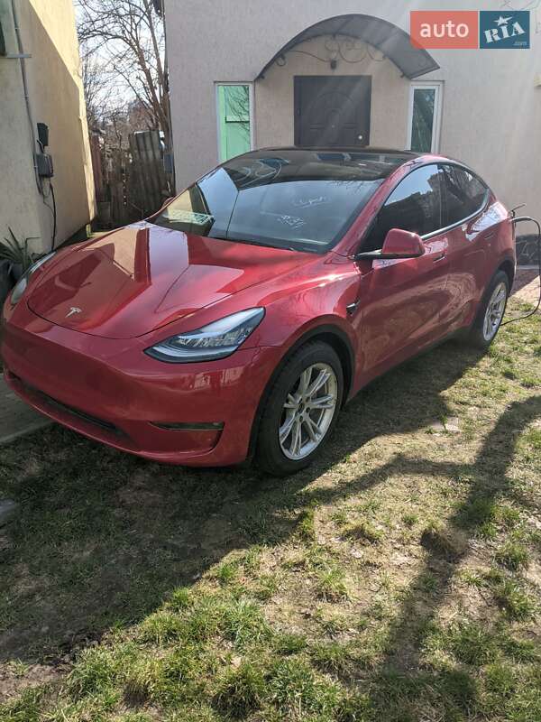 Позашляховик / Кросовер Tesla Model Y 2022 в Києві