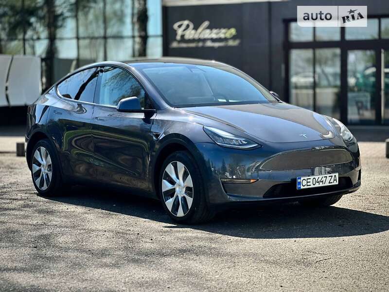Внедорожник / Кроссовер Tesla Model Y 2020 в Черновцах