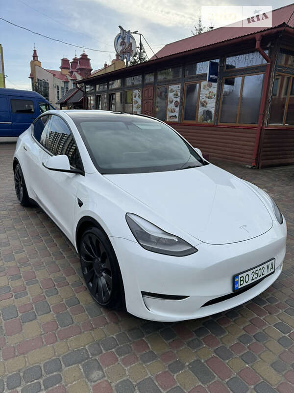 Внедорожник / Кроссовер Tesla Model Y 2021 в Тернополе