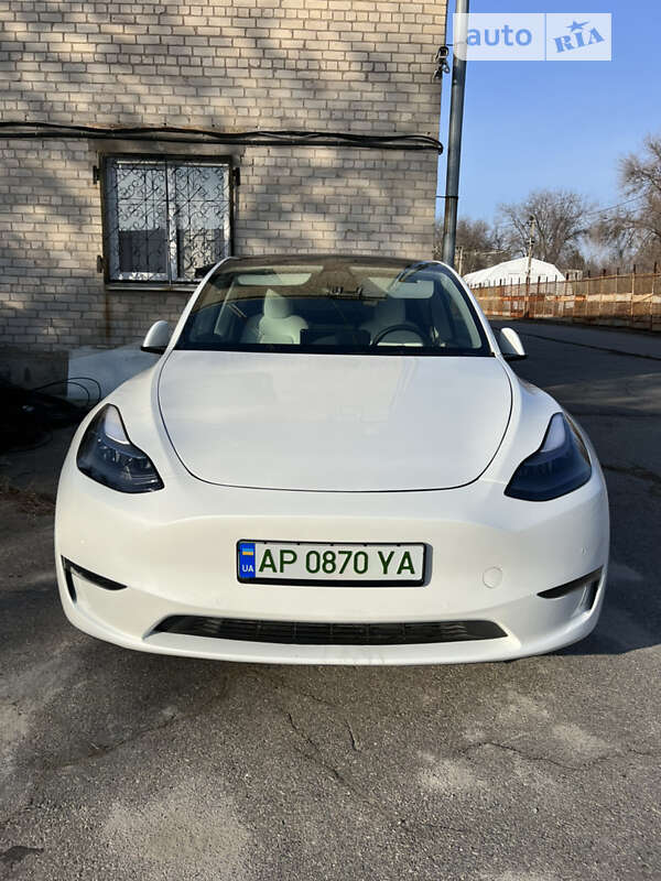 Позашляховик / Кросовер Tesla Model Y 2021 в Запоріжжі