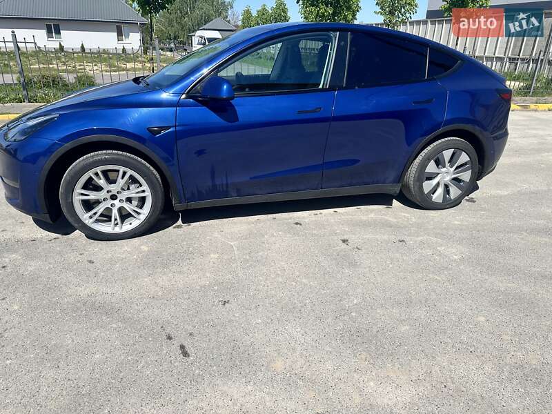 Внедорожник / Кроссовер Tesla Model Y 2020 в Буче