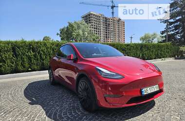 Позашляховик / Кросовер Tesla Model Y 2021 в Дніпрі