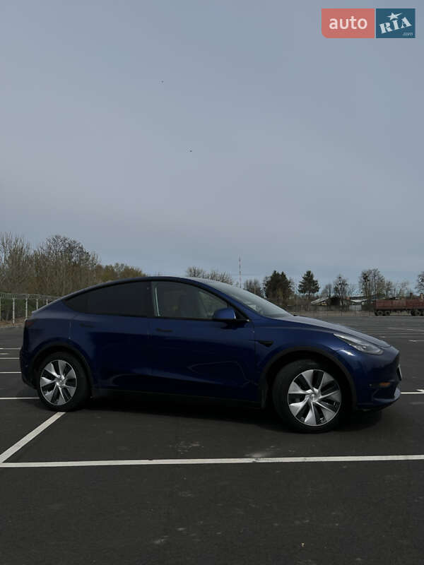 Внедорожник / Кроссовер Tesla Model Y 2020 в Виннице