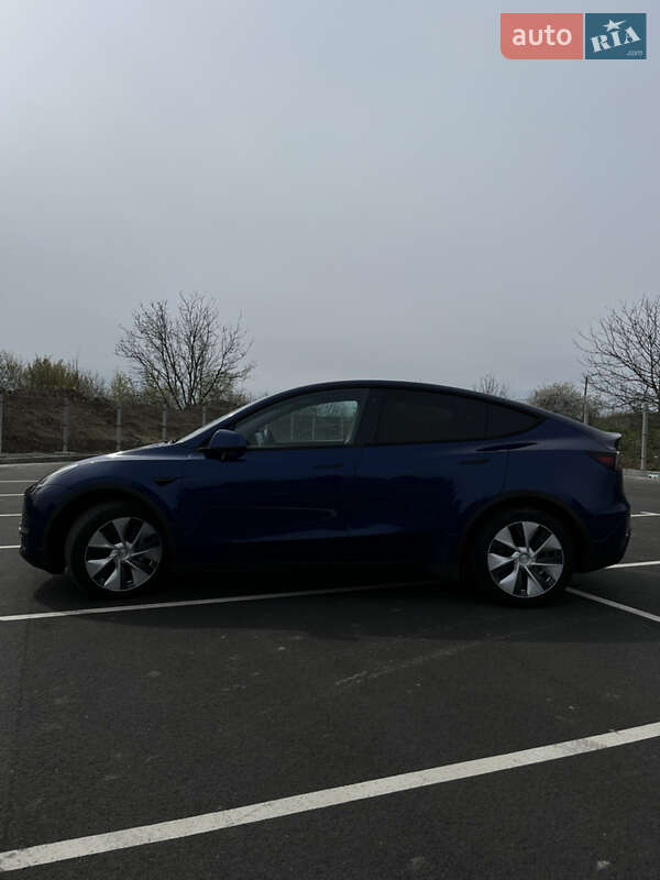 Внедорожник / Кроссовер Tesla Model Y 2020 в Виннице