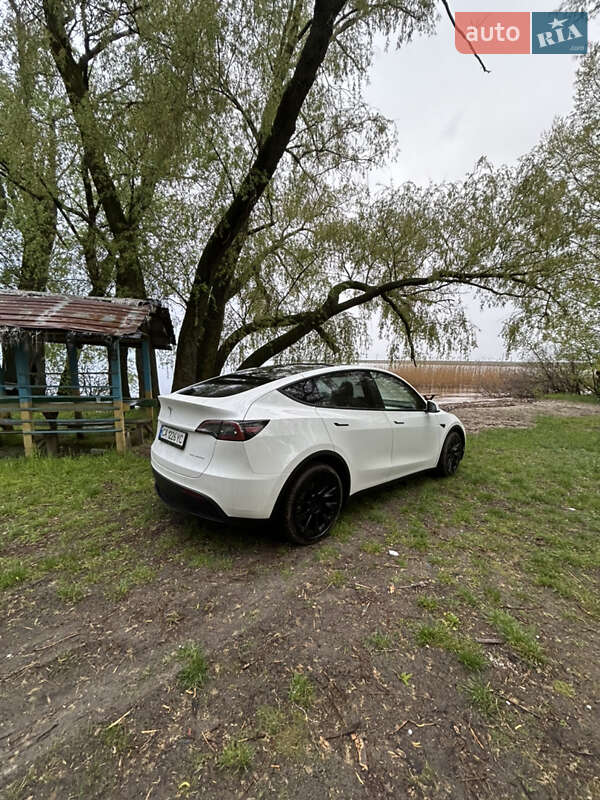 Позашляховик / Кросовер Tesla Model Y 2022 в Черкасах