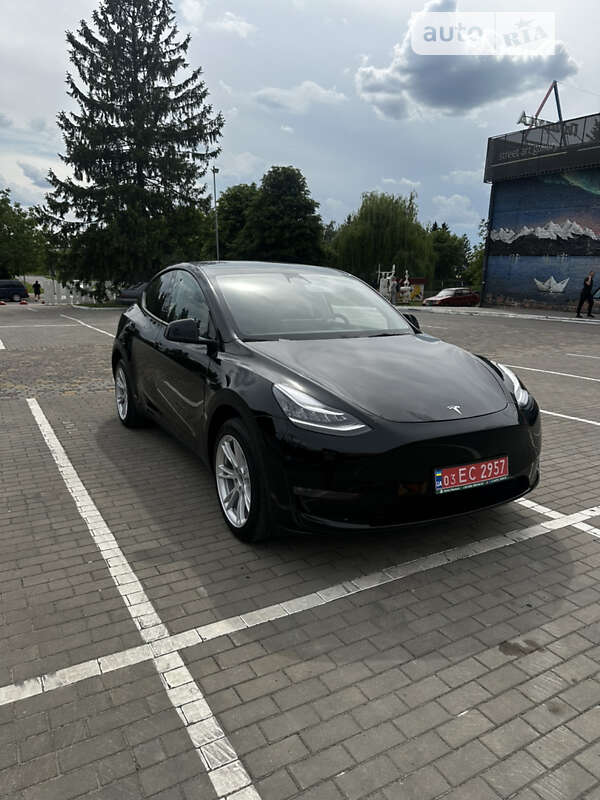 Внедорожник / Кроссовер Tesla Model Y 2023 в Луцке