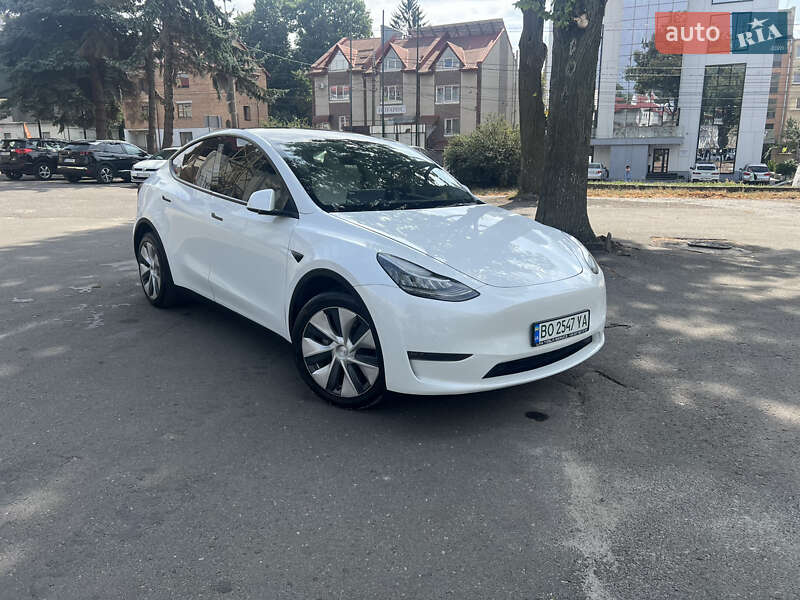 Внедорожник / Кроссовер Tesla Model Y 2020 в Тернополе