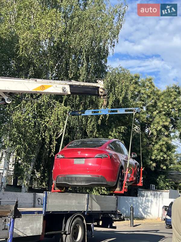 Внедорожник / Кроссовер Tesla Model Y 2020 в 