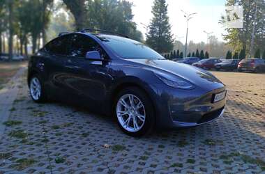 Внедорожник / Кроссовер Tesla Model Y 2021 в Харькове