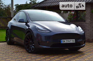 Внедорожник / Кроссовер Tesla Model Y 2020 в Сарнах