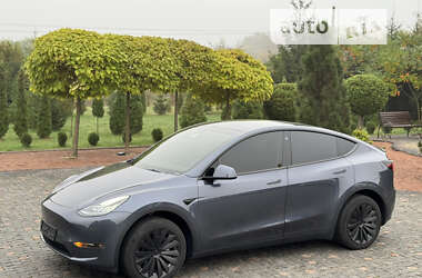 Внедорожник / Кроссовер Tesla Model Y 2023 в Житомире