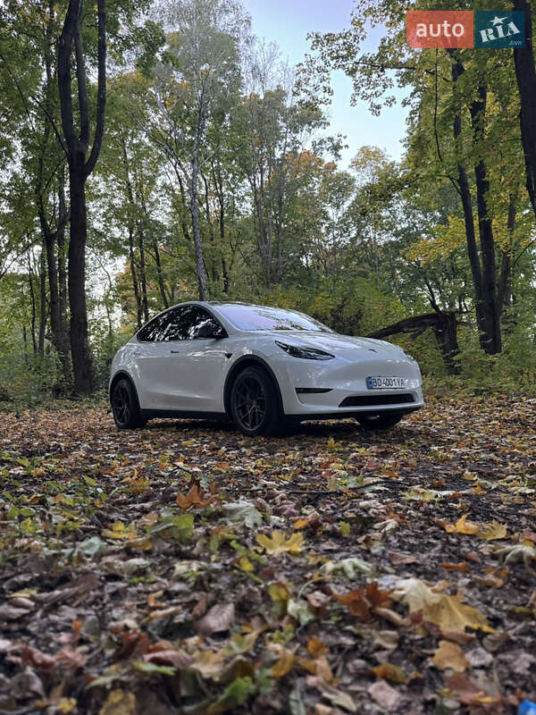 Внедорожник / Кроссовер Tesla Model Y 2022 в Тернополе фото 15 Внедорожник / Кроссовер Tesla Model Y 2022 в Тернополе