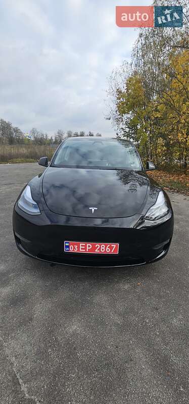 Позашляховик / Кросовер Tesla Model Y 2023 в Звягелі
