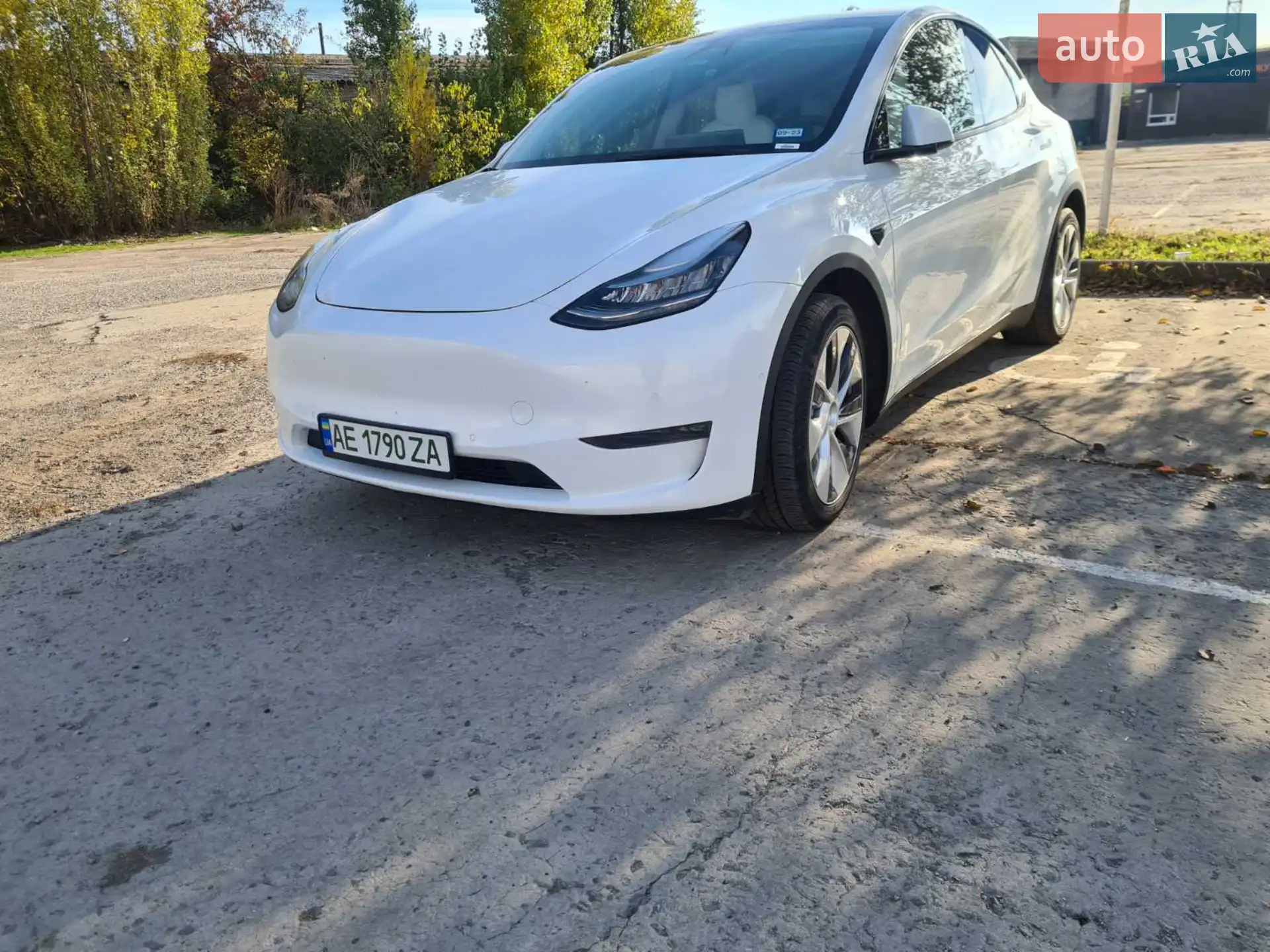 2021 Tesla Model Y - фото 1