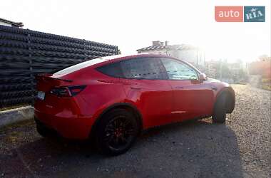 Позашляховик / Кросовер Tesla Model Y 2021 в Тернополі