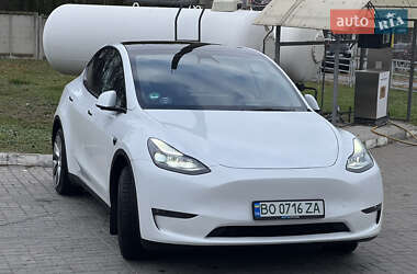 Внедорожник / Кроссовер Tesla Model Y 2022 в 