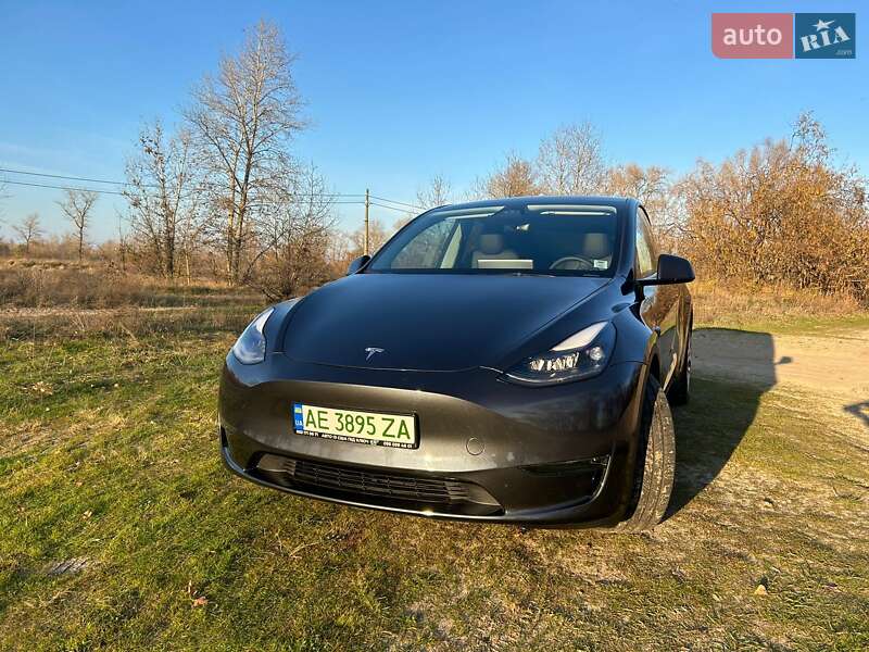 Внедорожник / Кроссовер Tesla Model Y 2024 в Киеве