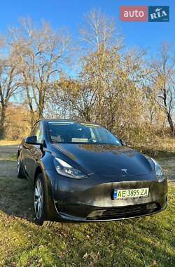 Внедорожник / Кроссовер Tesla Model Y 2024 в Киеве