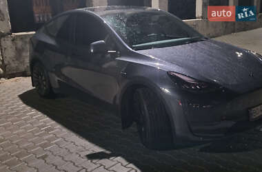 Внедорожник / Кроссовер Tesla Model Y 2023 в 