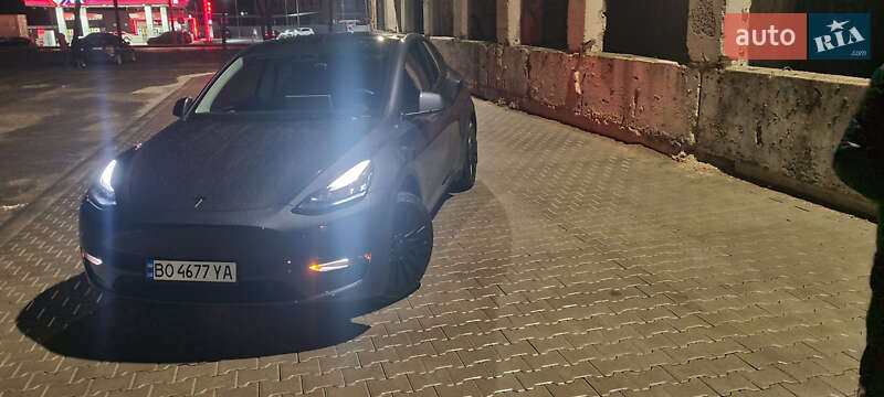 Позашляховик / Кросовер Tesla Model Y 2023 в Тернополі