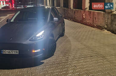 Внедорожник / Кроссовер Tesla Model Y 2023 в 