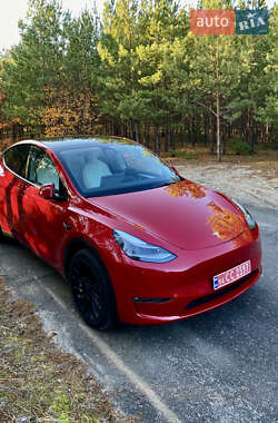 Внедорожник / Кроссовер Tesla Model Y 2023 в Киеве