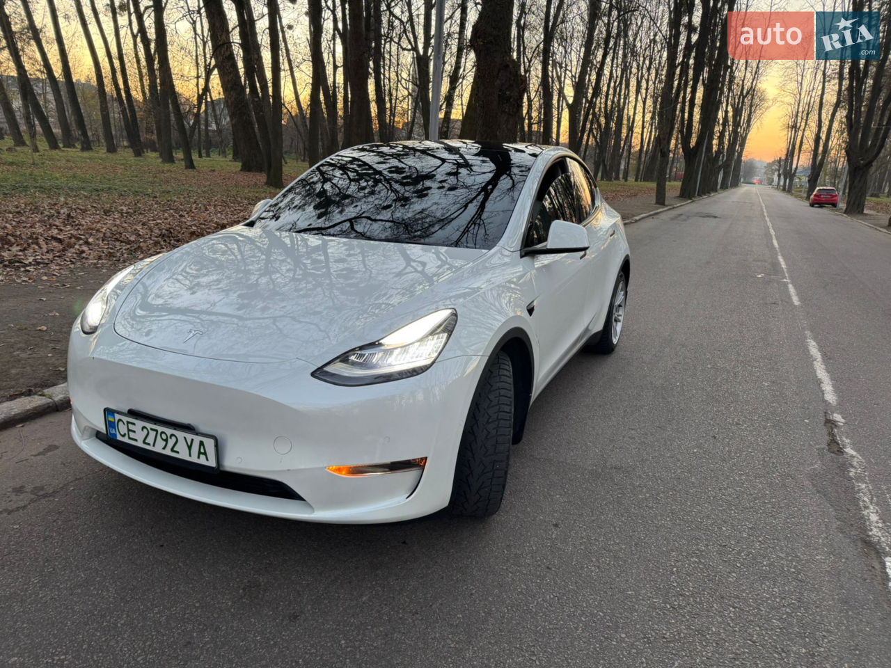 2021 Tesla Model Y - мініатюра 17