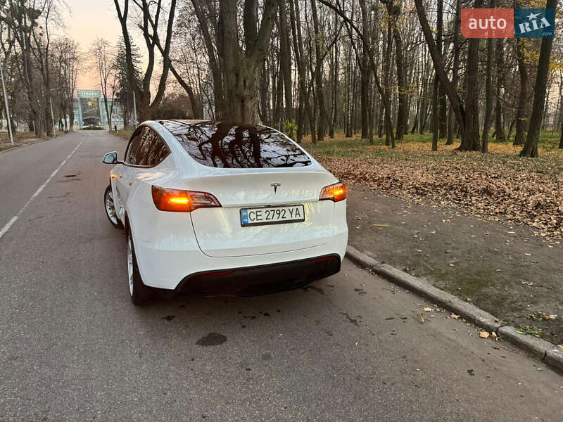 Позашляховик / Кросовер Tesla Model Y 2021 в Чернівцях фото 10 Позашляховик / Кросовер Tesla Model Y 2021 в Чернівцях