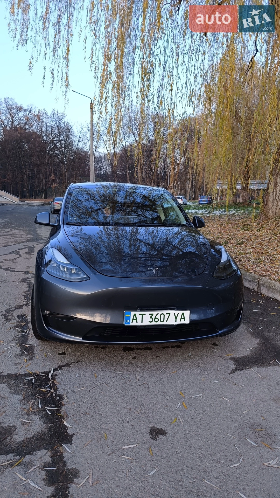 2023 Tesla Model Y - мініатюра 2