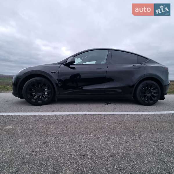Внедорожник / Кроссовер Tesla Model Y 2020 в Запорожье