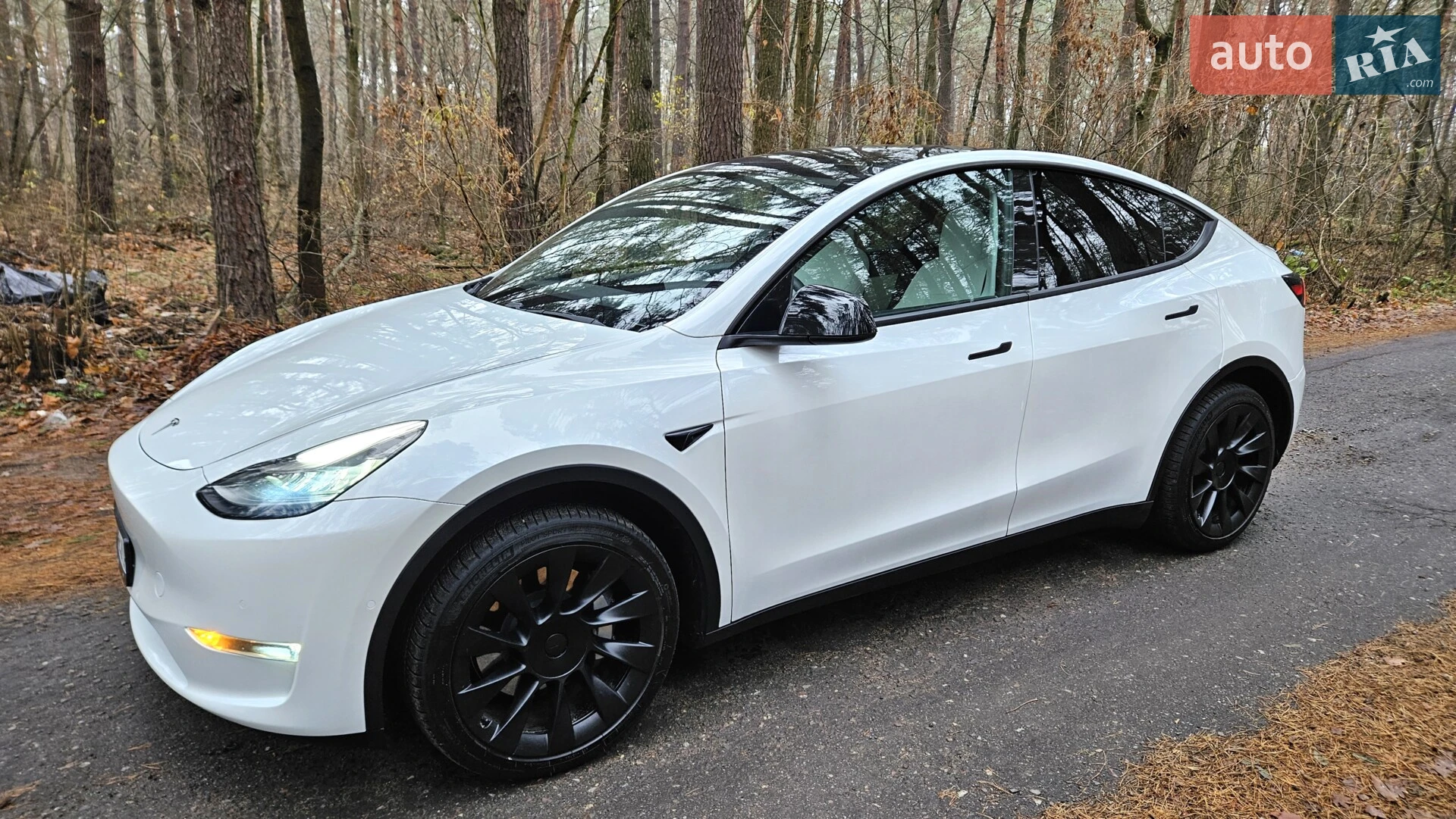 2020 Tesla Model Y - мініатюра 3