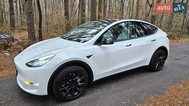 Внедорожник / Кроссовер Tesla Model Y 2020 в Киеве