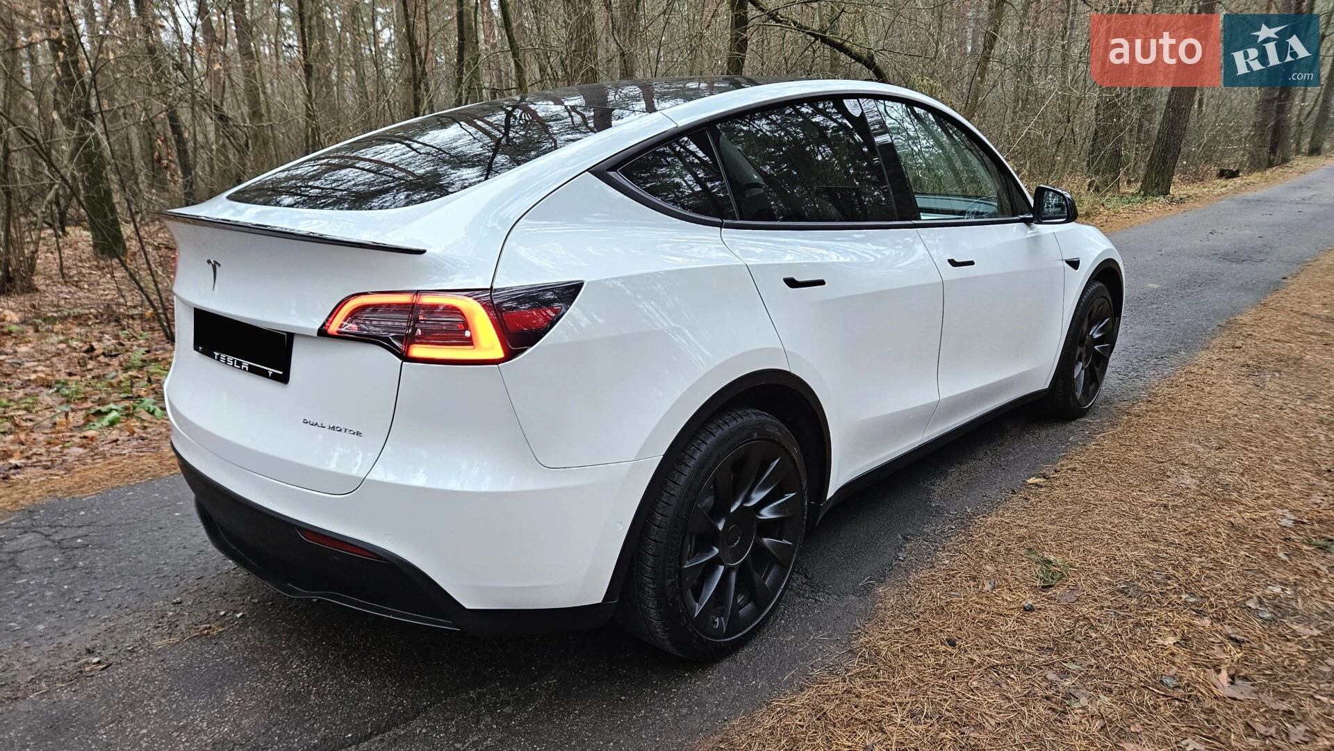 2020 Tesla Model Y - мініатюра 6