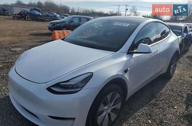 Tesla Model Y 2020