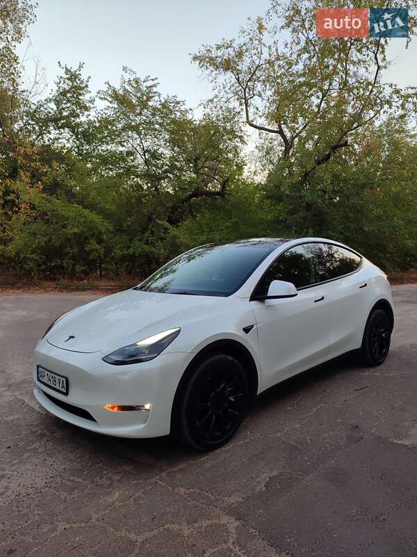 Внедорожник / Кроссовер Tesla Model Y 2023 в Запорожье