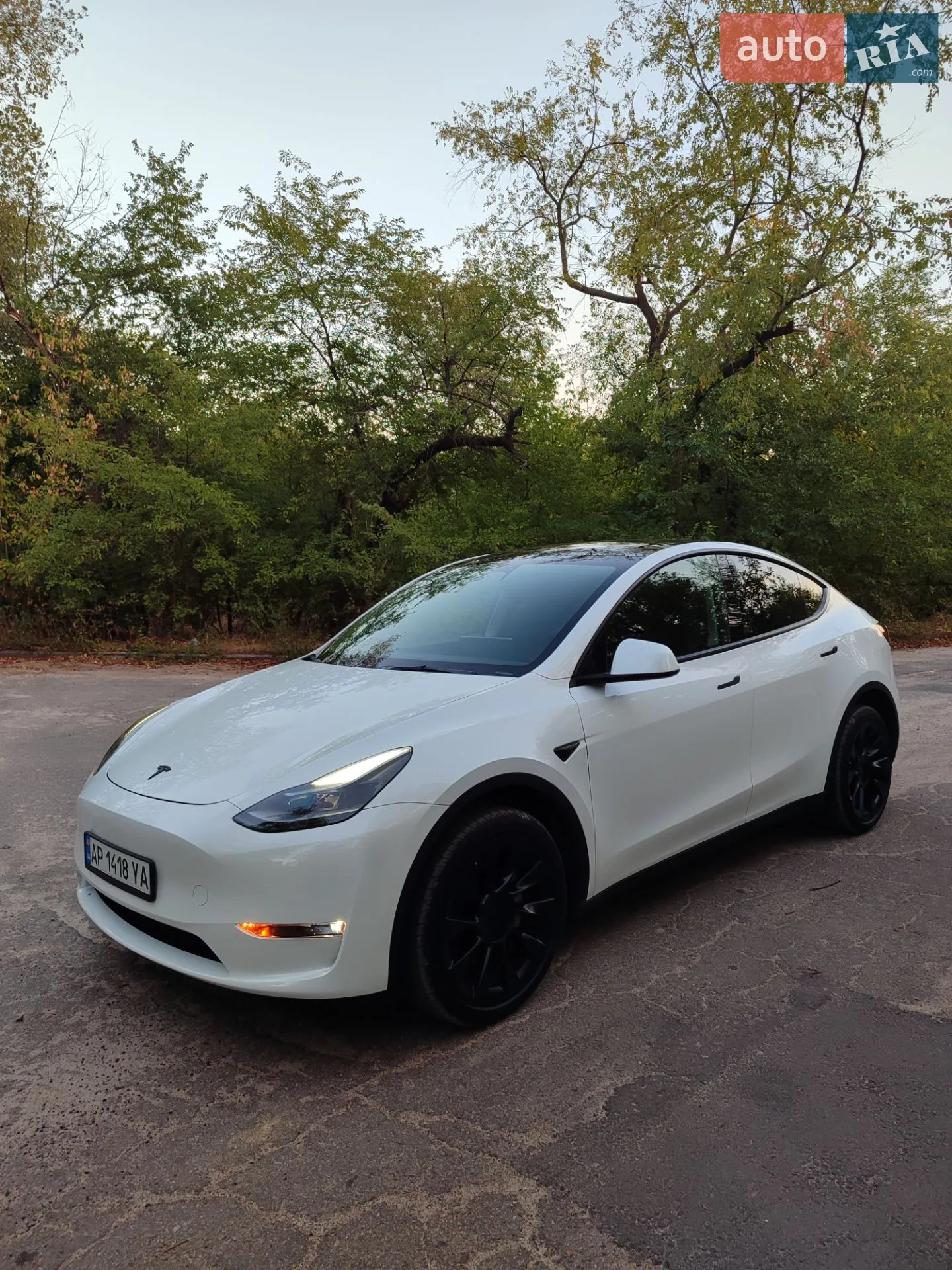 2023 Tesla Model Y - мініатюра 11