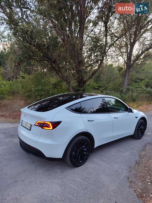 Внедорожник / Кроссовер Tesla Model Y 2023 в Запорожье