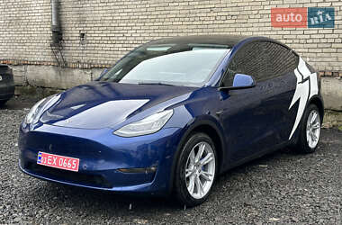 Позашляховик / Кросовер Tesla Model Y 2021 в Луцьку