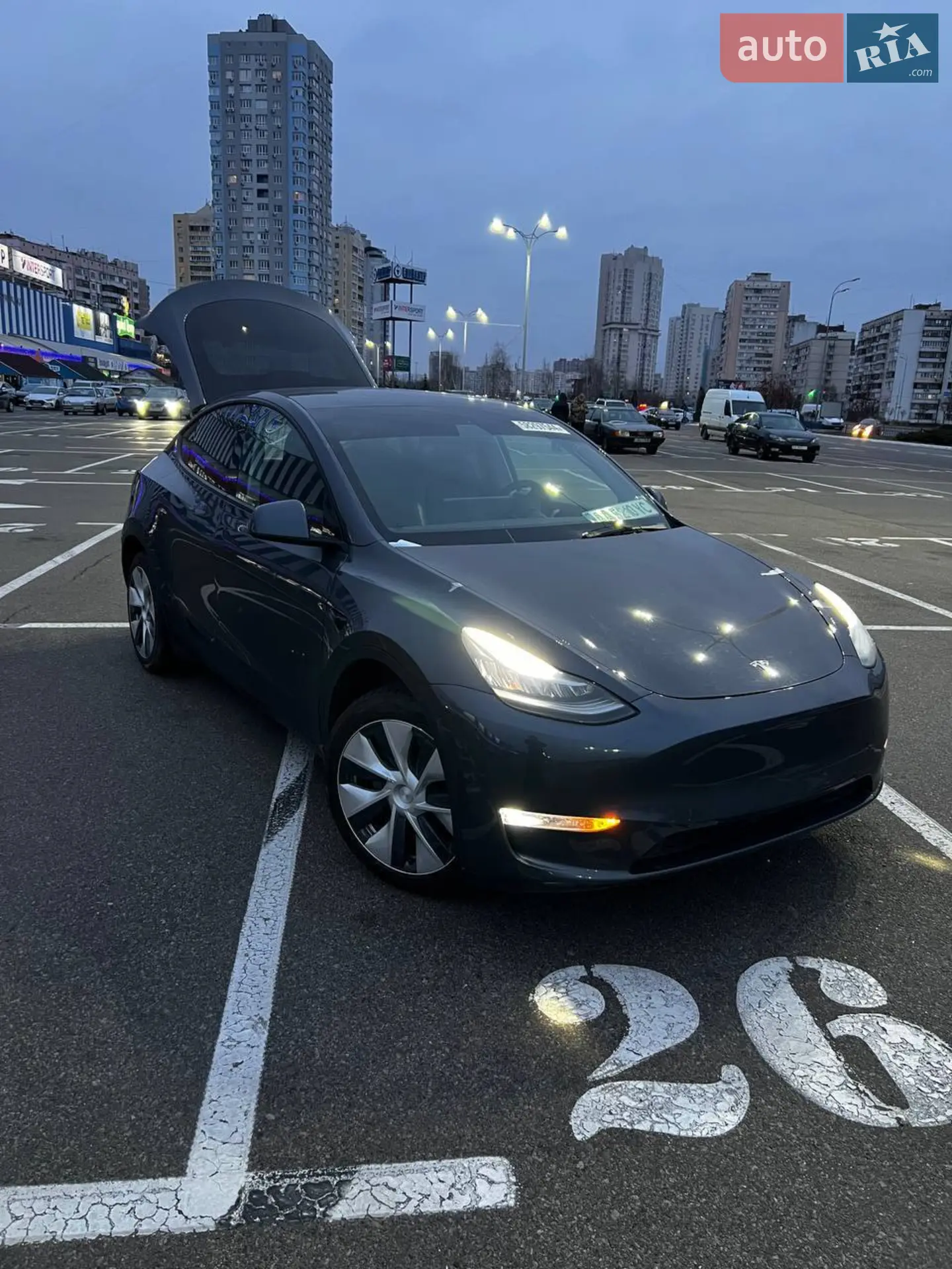 2021 Tesla Model Y - мініатюра 18