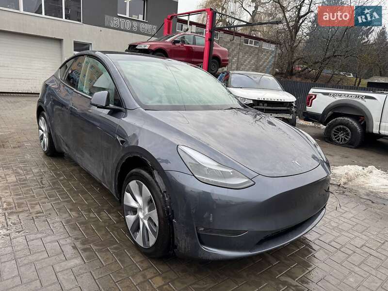 Позашляховик / Кросовер Tesla Model Y 2023 в Луцьку