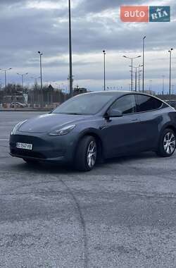 Позашляховик / Кросовер Tesla Model Y 2023 в Львові