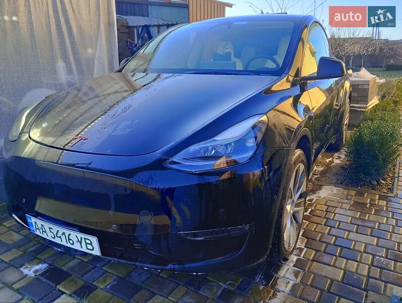 Внедорожник / Кроссовер Tesla Model Y 2023 в Осещине