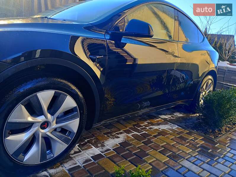 Внедорожник / Кроссовер Tesla Model Y 2023 в Осещине