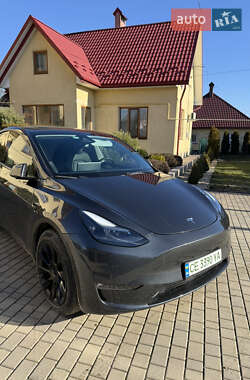 Позашляховик / Кросовер Tesla Model Y 2023 в Чернівцях