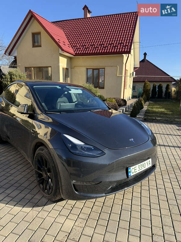 Внедорожник / Кроссовер Tesla Model Y 2023 в Черновцах