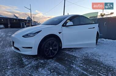 Позашляховик / Кросовер Tesla Model Y 2021 в Ужгороді