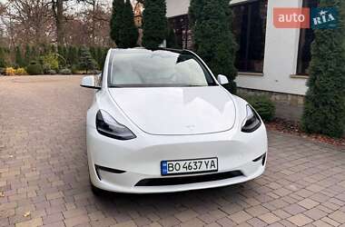 Позашляховик / Кросовер Tesla Model Y 2024 в Тернополі