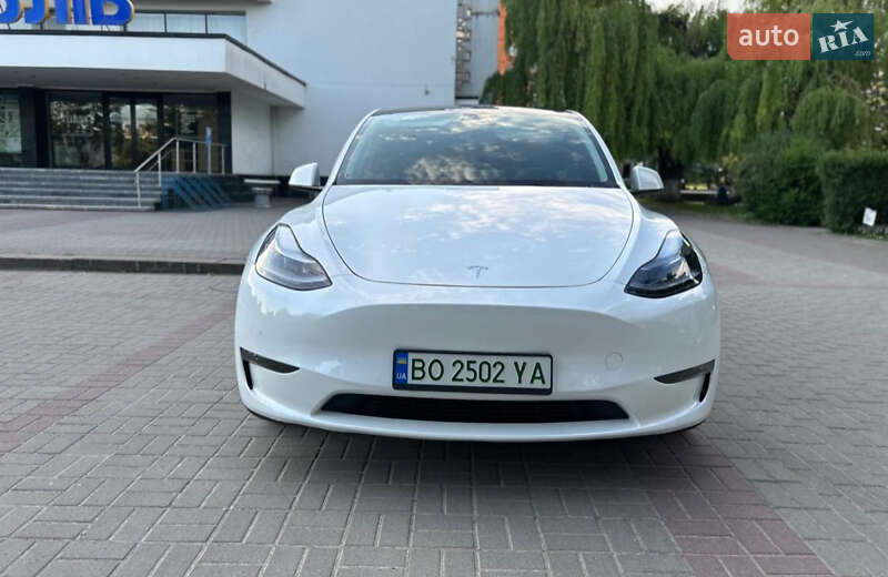 Позашляховик / Кросовер Tesla Model Y 2021 в Житомирі